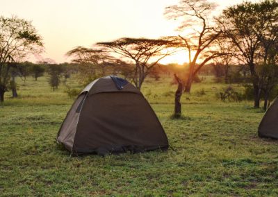 Mobile Camping with Ultimate Serengeti
